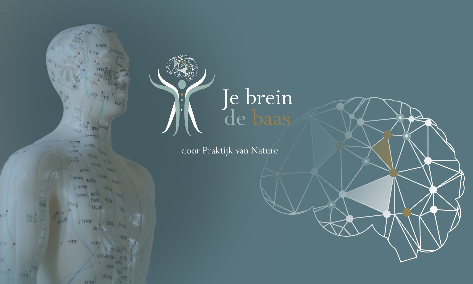 Nog steeds moe na Pfeiffer? - Herstellen van een chronische pfeiffer.